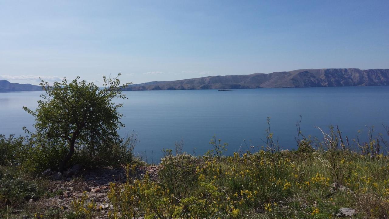 Dalibor Apartamento Senj  Exterior foto