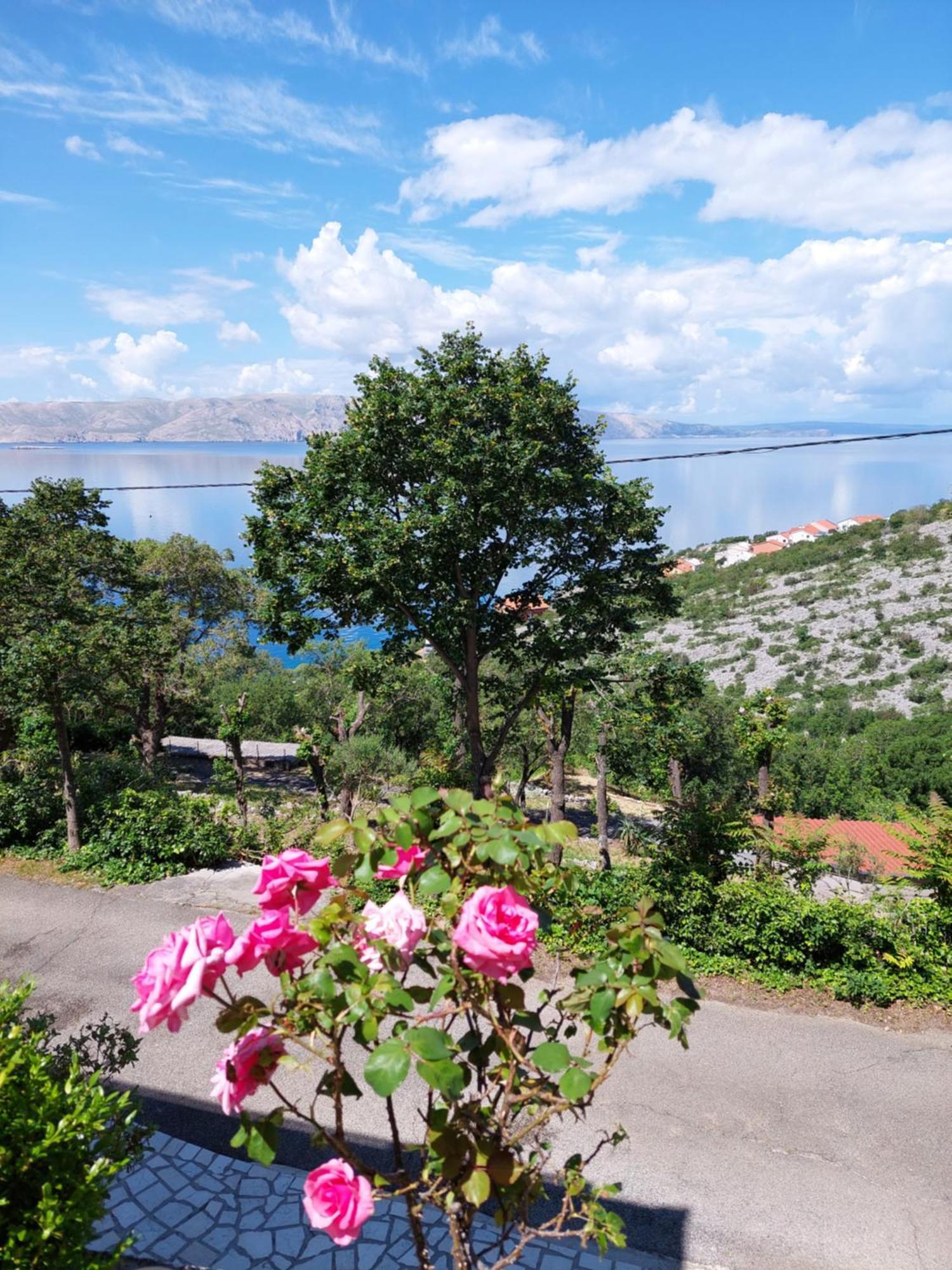 Dalibor Apartamento Senj  Exterior foto