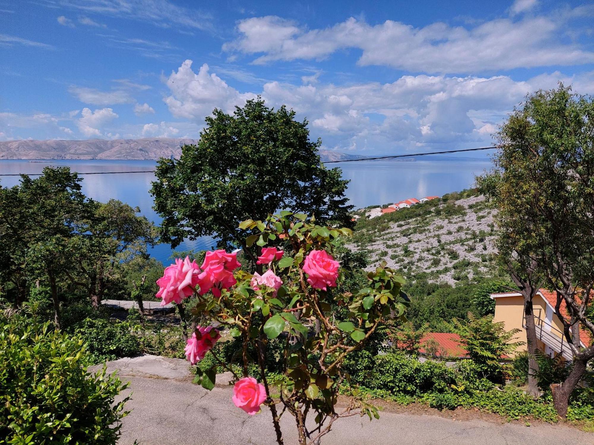 Dalibor Apartamento Senj  Exterior foto